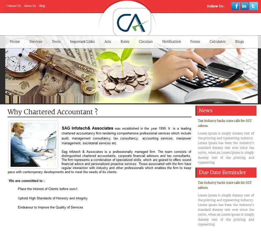 Chartered Accountant Theme 