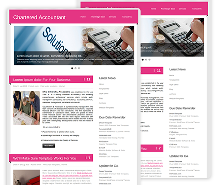 Chartered Accountant Theme 41