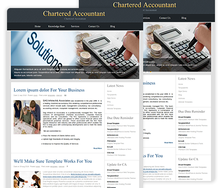 Chartered Accountant Theme 43