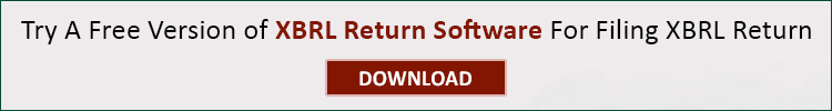 XBRL Return Software