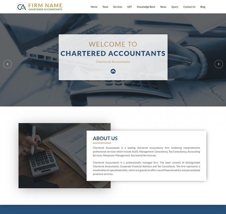 Chartered Accountant Website 