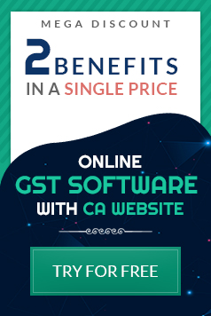 GST Software with CA Website